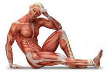 Cargar imagen en el visor de la galería, Weight Gainer (Ganador de Peso) Sabor Banana-Fresa - 1800 gramos (15g de proteínas y 30g de carbohidratos por porción)