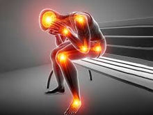 Cargar imagen en el visor de la galería, Fibro Balance 90 cáps