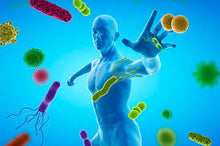 Cargar imagen en el visor de la galería, Inmune Forte - 450 gramos