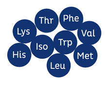 Cargar imagen en el visor de la galería, Amino Mix - 450 gramos
